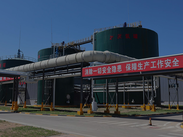 CGPAYǮ��